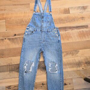 We the Free Ziggy Overalls Barnyard Blue Size Large